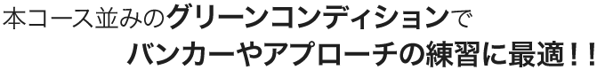 本コース並みのグリーンコンディションでバンカーやアプローチの練習に最適！